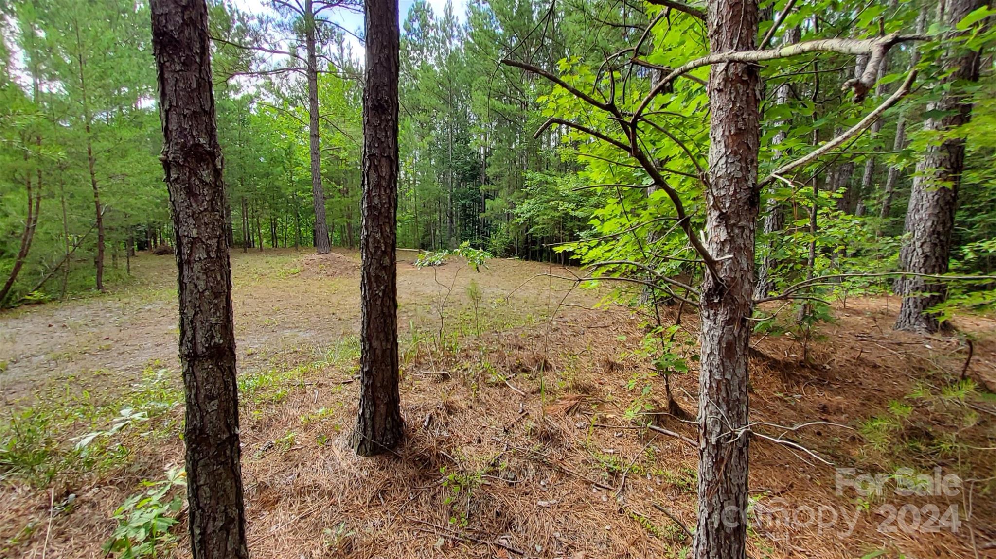 0 Sunset Drive Mill Spring NC 28756