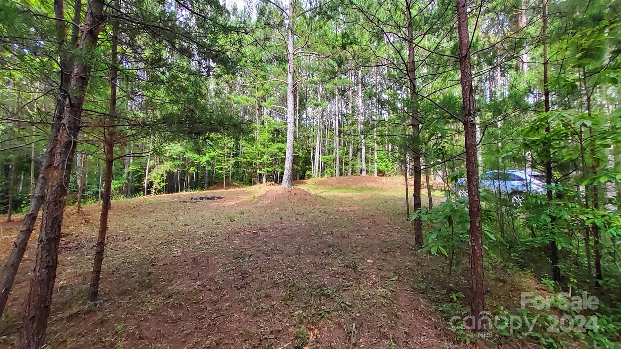 0 Sunset Drive Mill Spring NC 28756