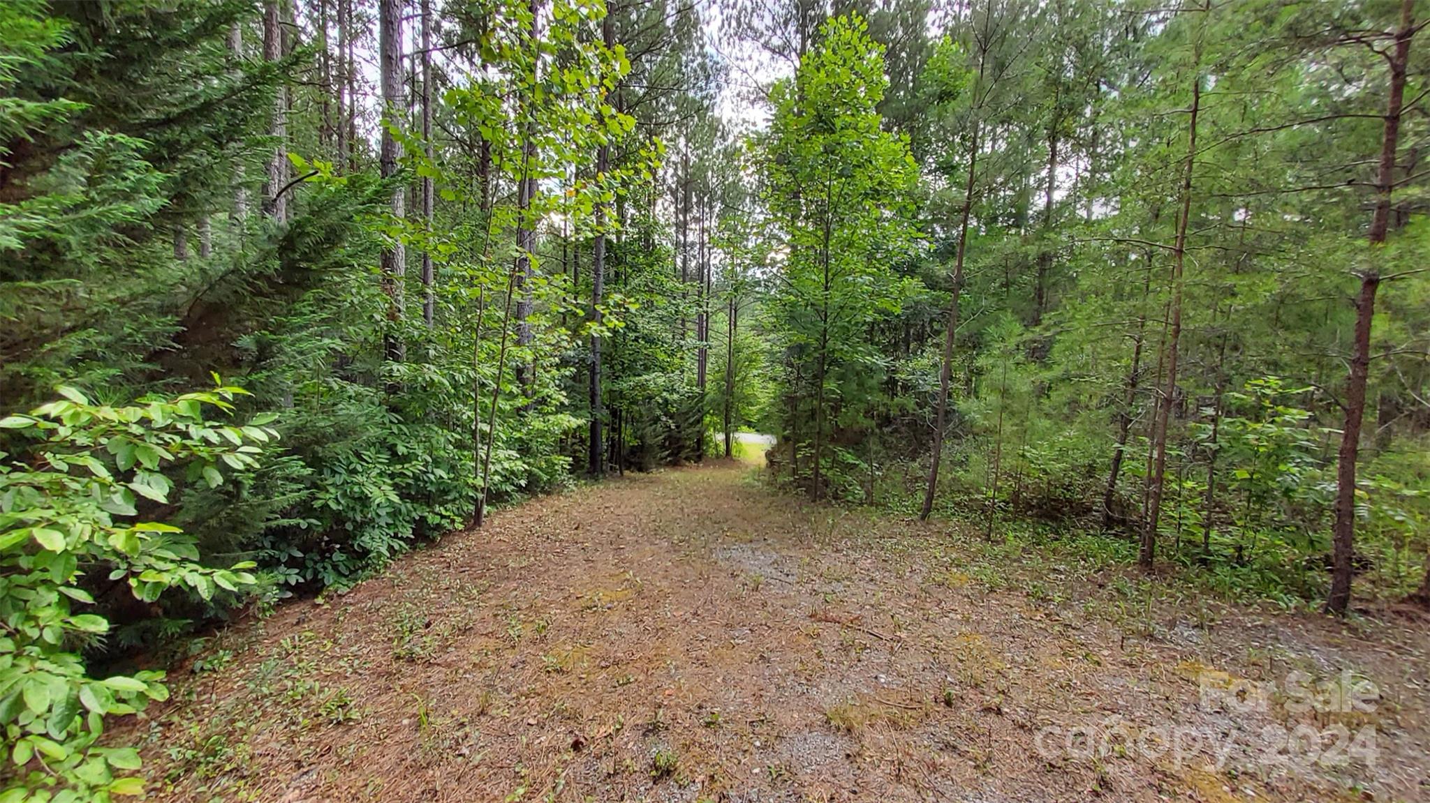 0 Sunset Drive Mill Spring NC 28756