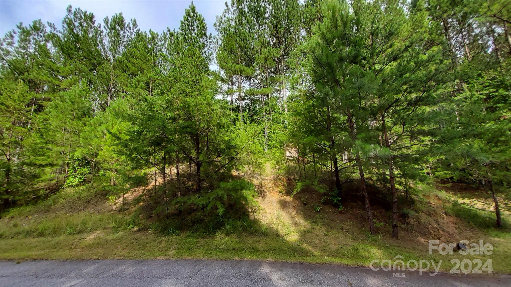 0 Sunset Drive Mill Spring NC 28756