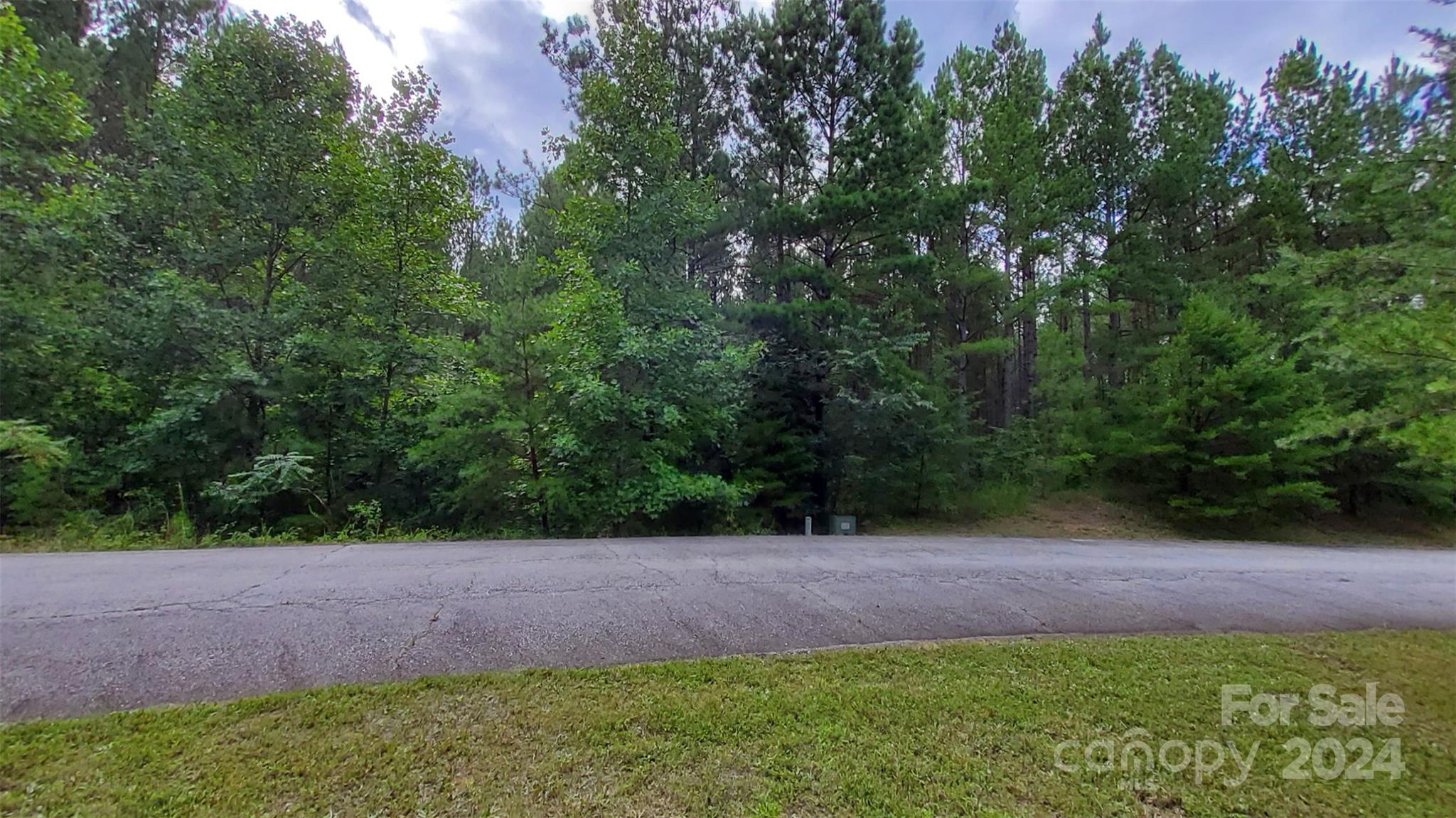 0 Sunset Drive Mill Spring NC 28756