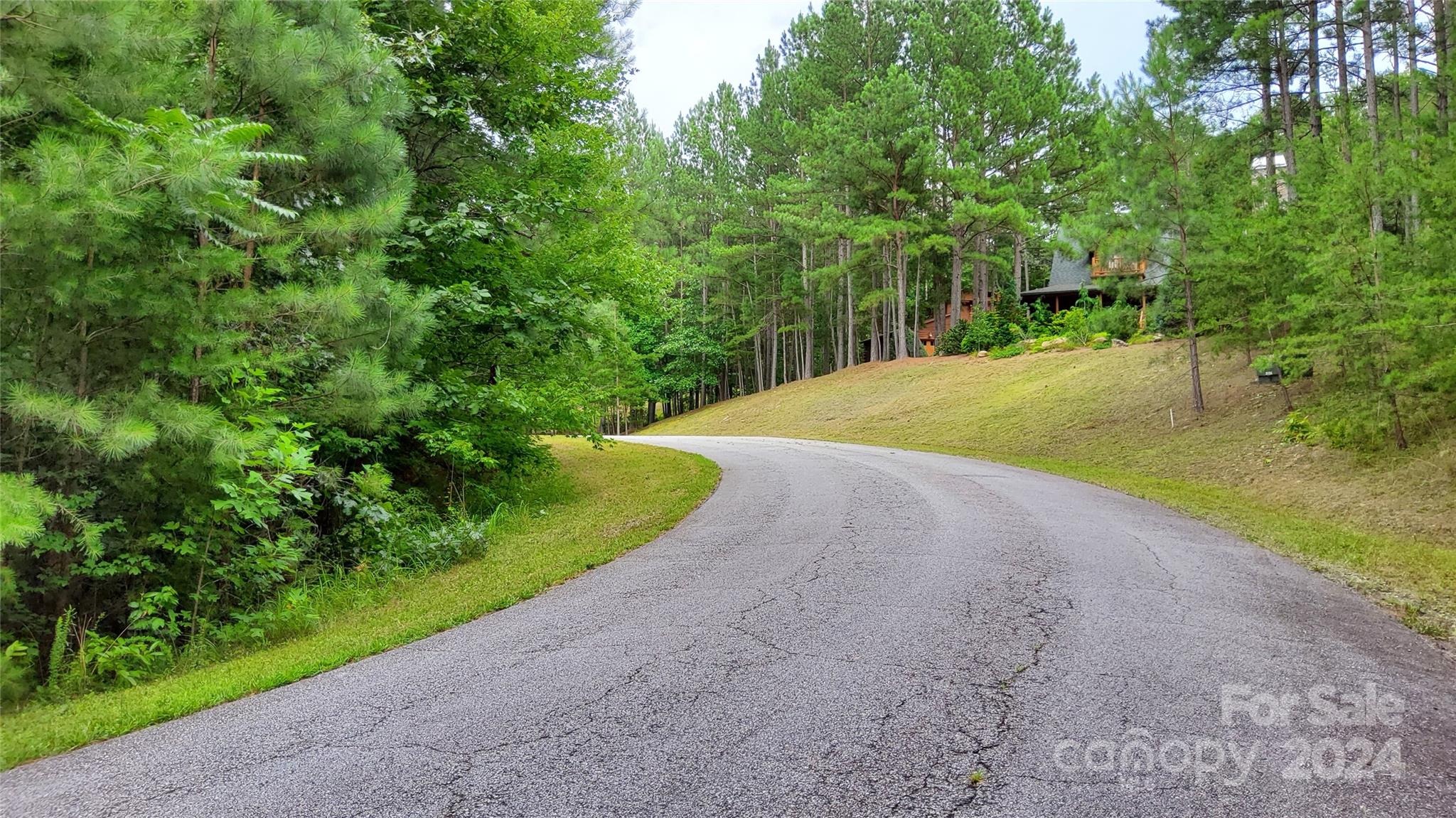 0 Sunset Drive Mill Spring NC 28756