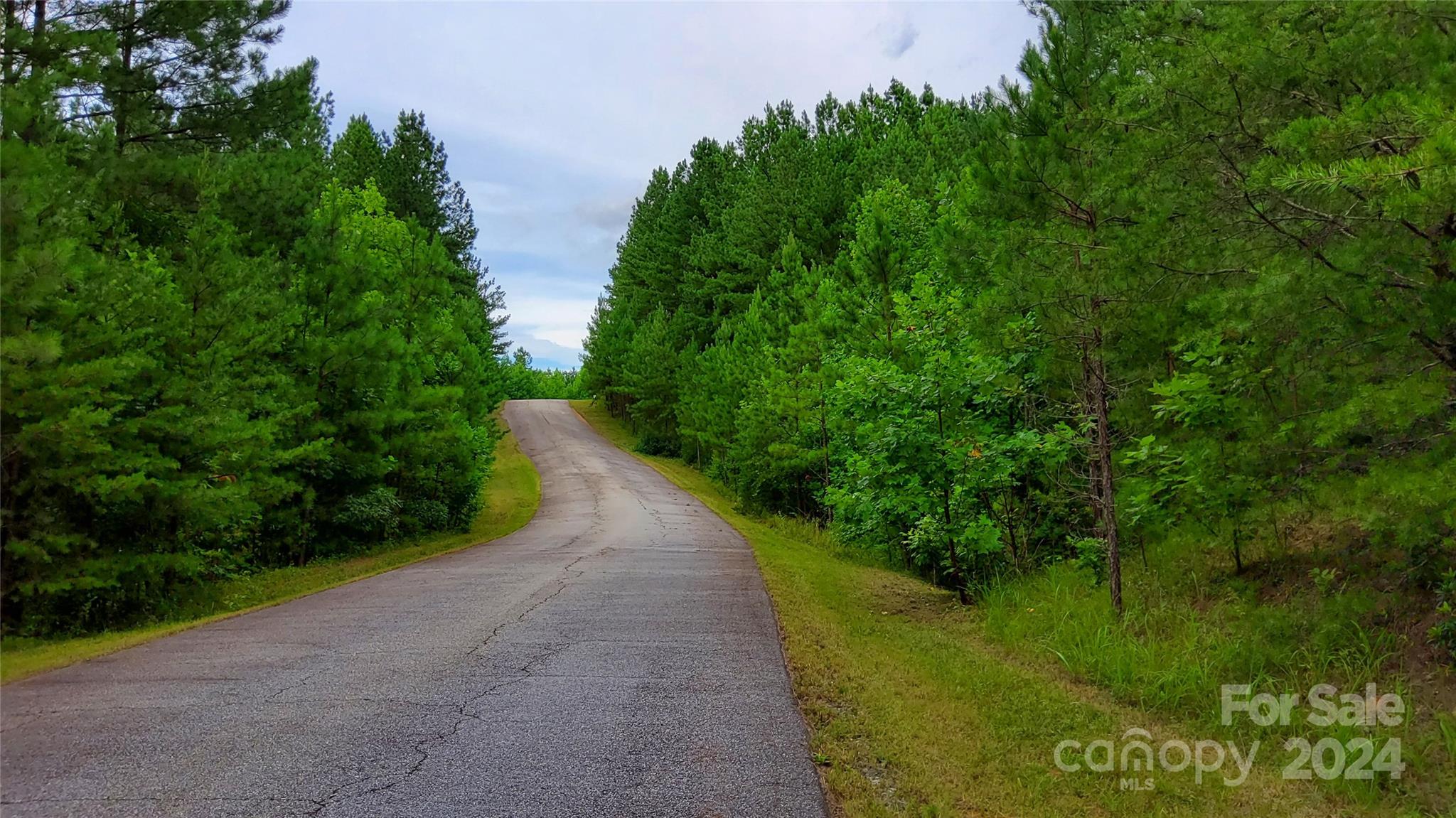 0 Sunset Drive Mill Spring NC 28756