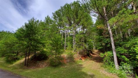0 Sunset Drive Mill Spring NC 28756