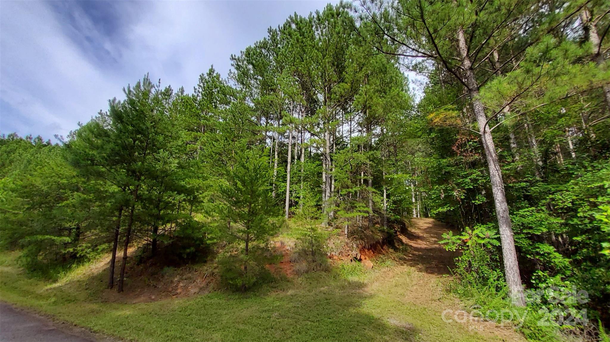 0 Sunset Drive Mill Spring NC 28756