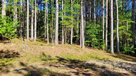0 Sunset Drive Mill Spring NC 28756