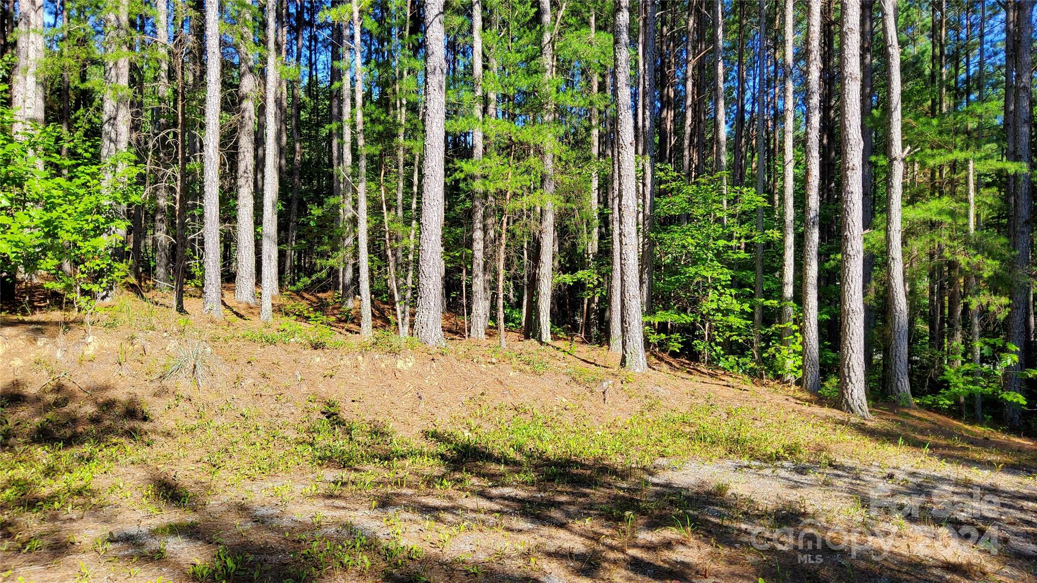 0 Sunset Drive Mill Spring NC 28756