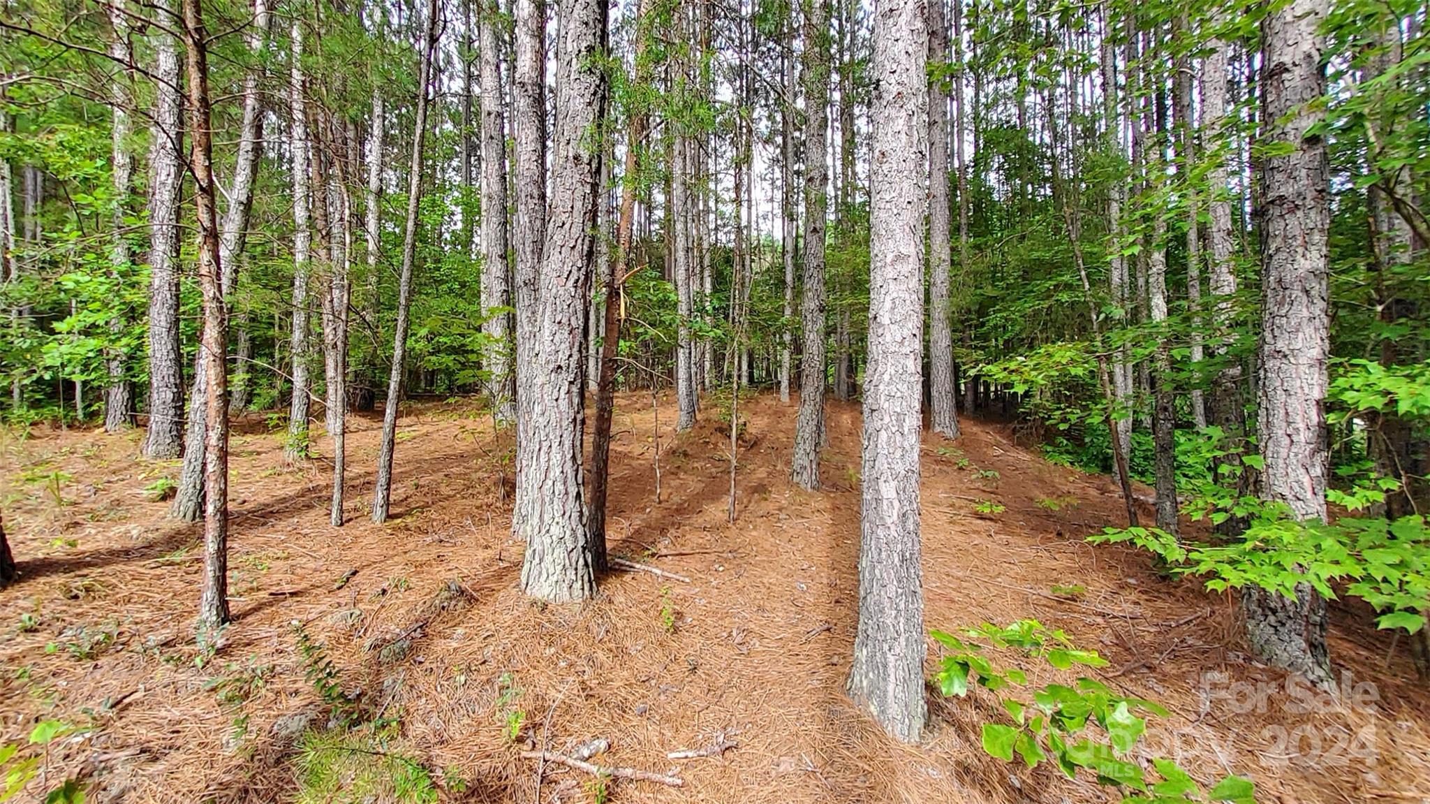 0 Sunset Drive Mill Spring NC 28756