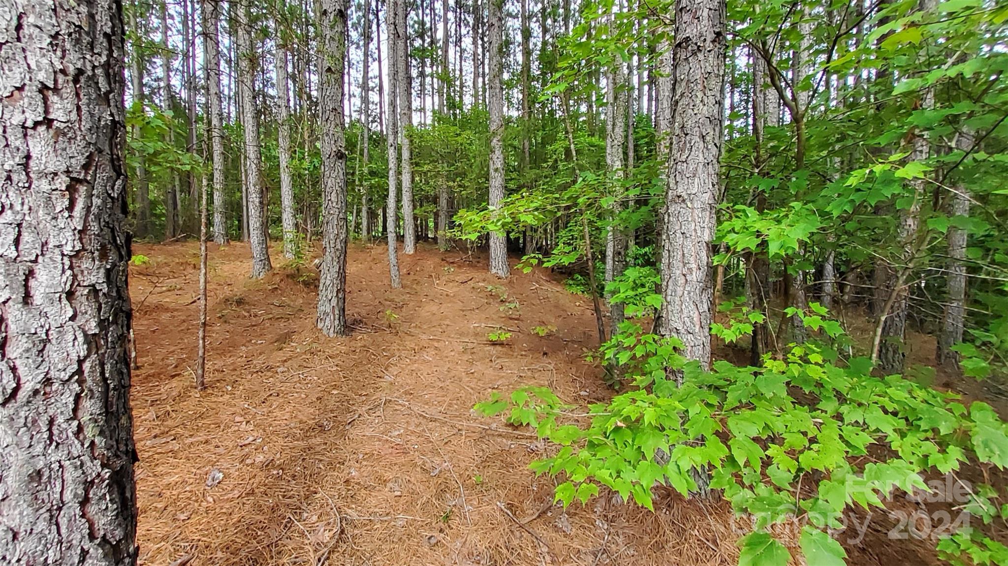 0 Sunset Drive Mill Spring NC 28756