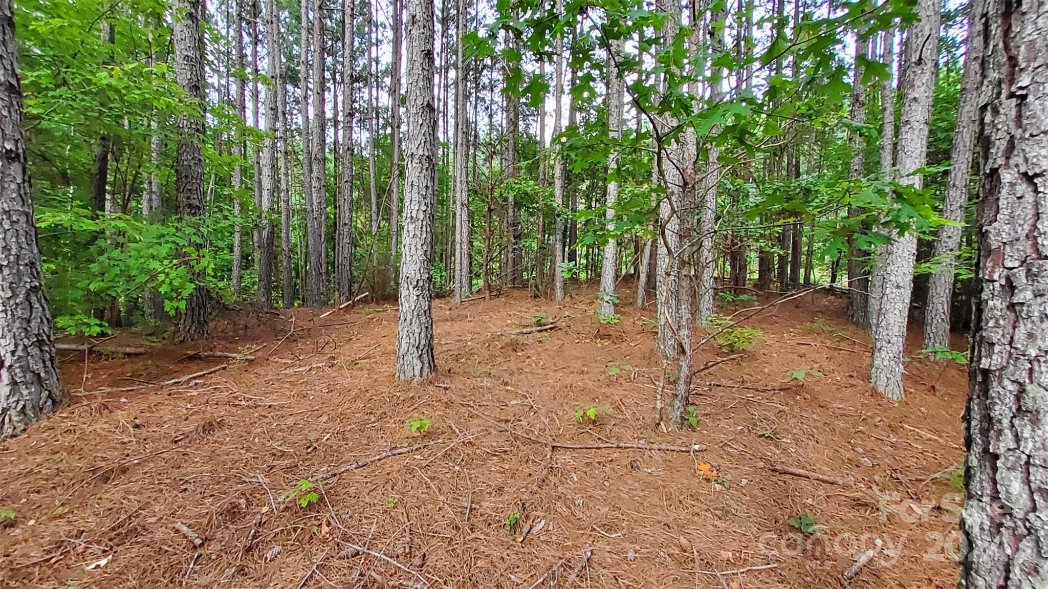 0 Sunset Drive Mill Spring NC 28756