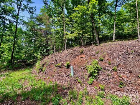 350 Springvalley Drive Rutherfordton NC 28139