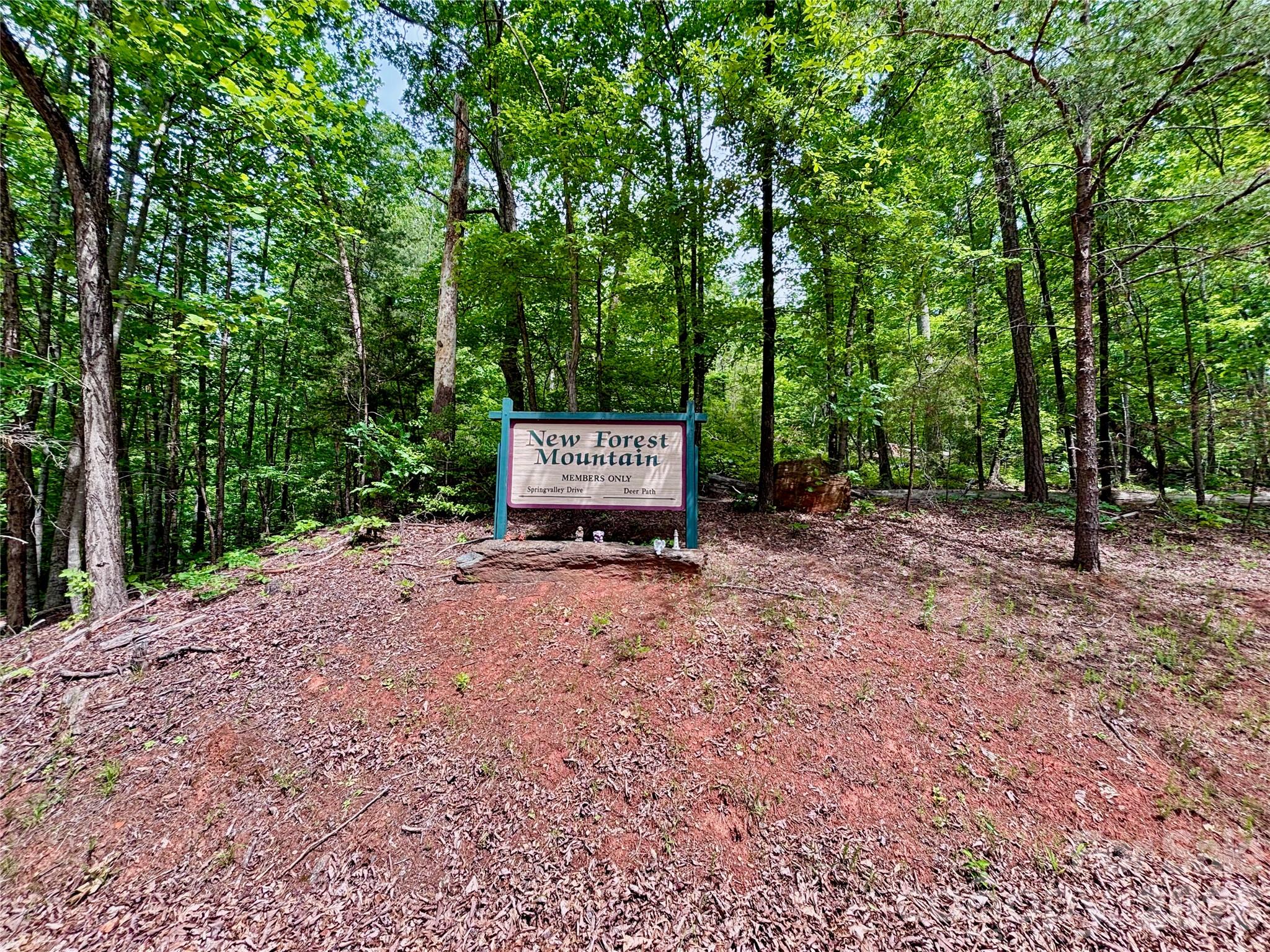 350 Springvalley Drive Rutherfordton NC 28139