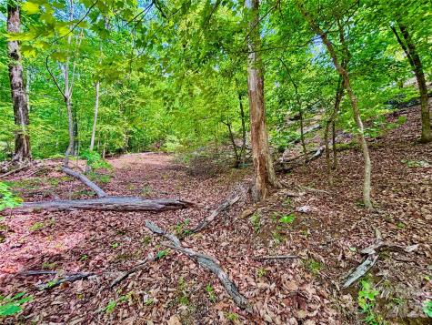 350 Springvalley Drive Rutherfordton NC 28139