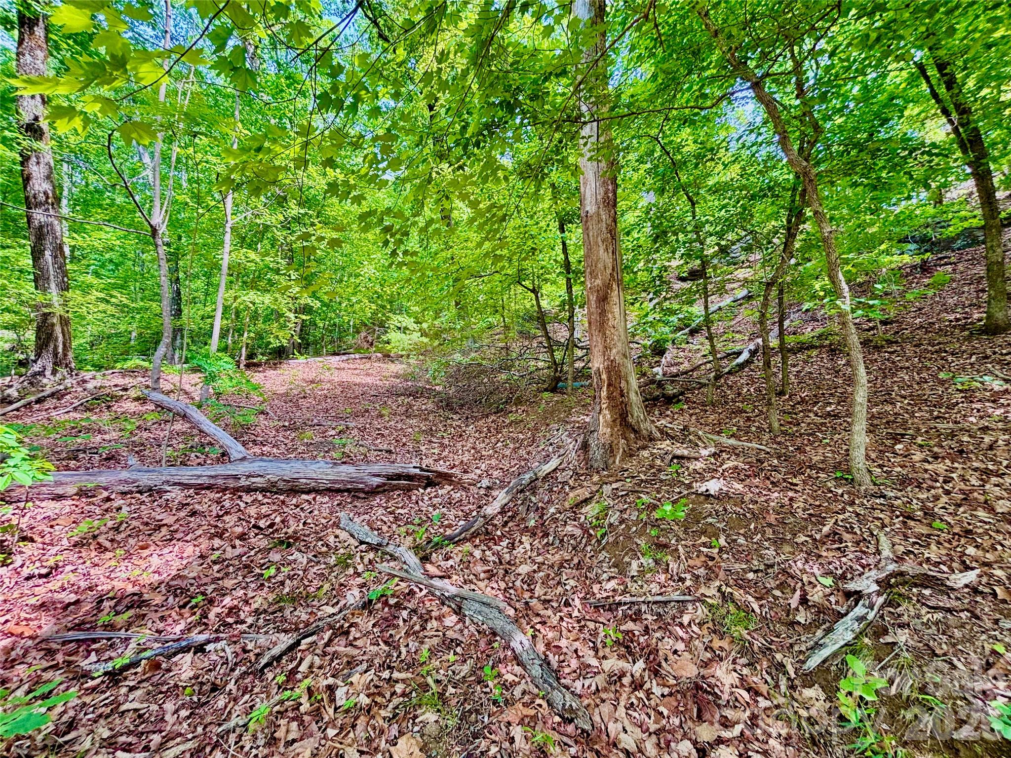 350 Springvalley Drive Rutherfordton NC 28139