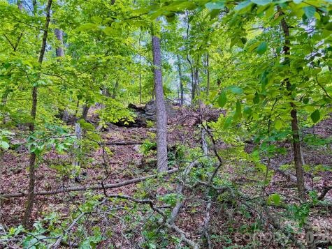 350 Springvalley Drive Rutherfordton NC 28139
