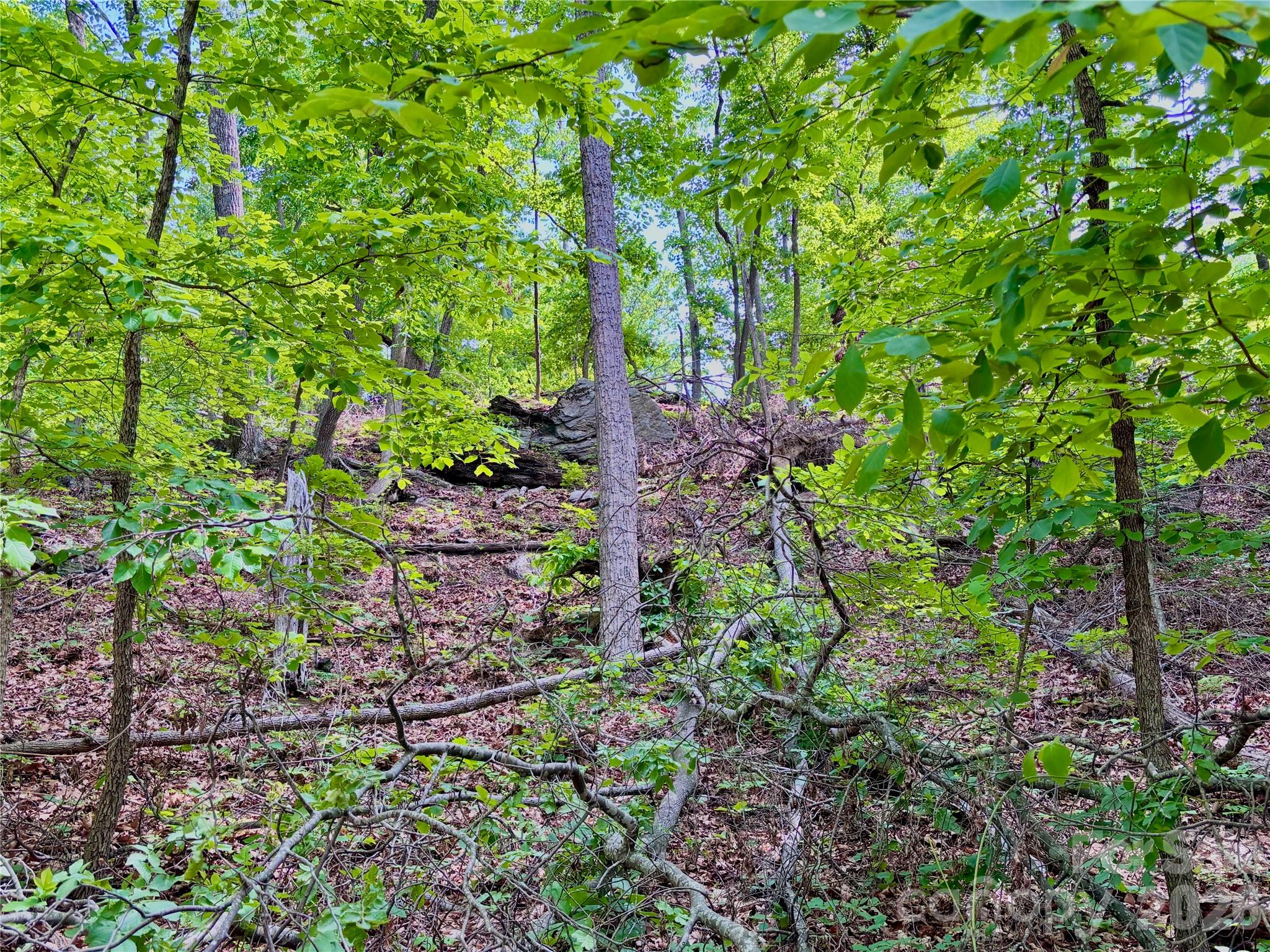 350 Springvalley Drive Rutherfordton NC 28139