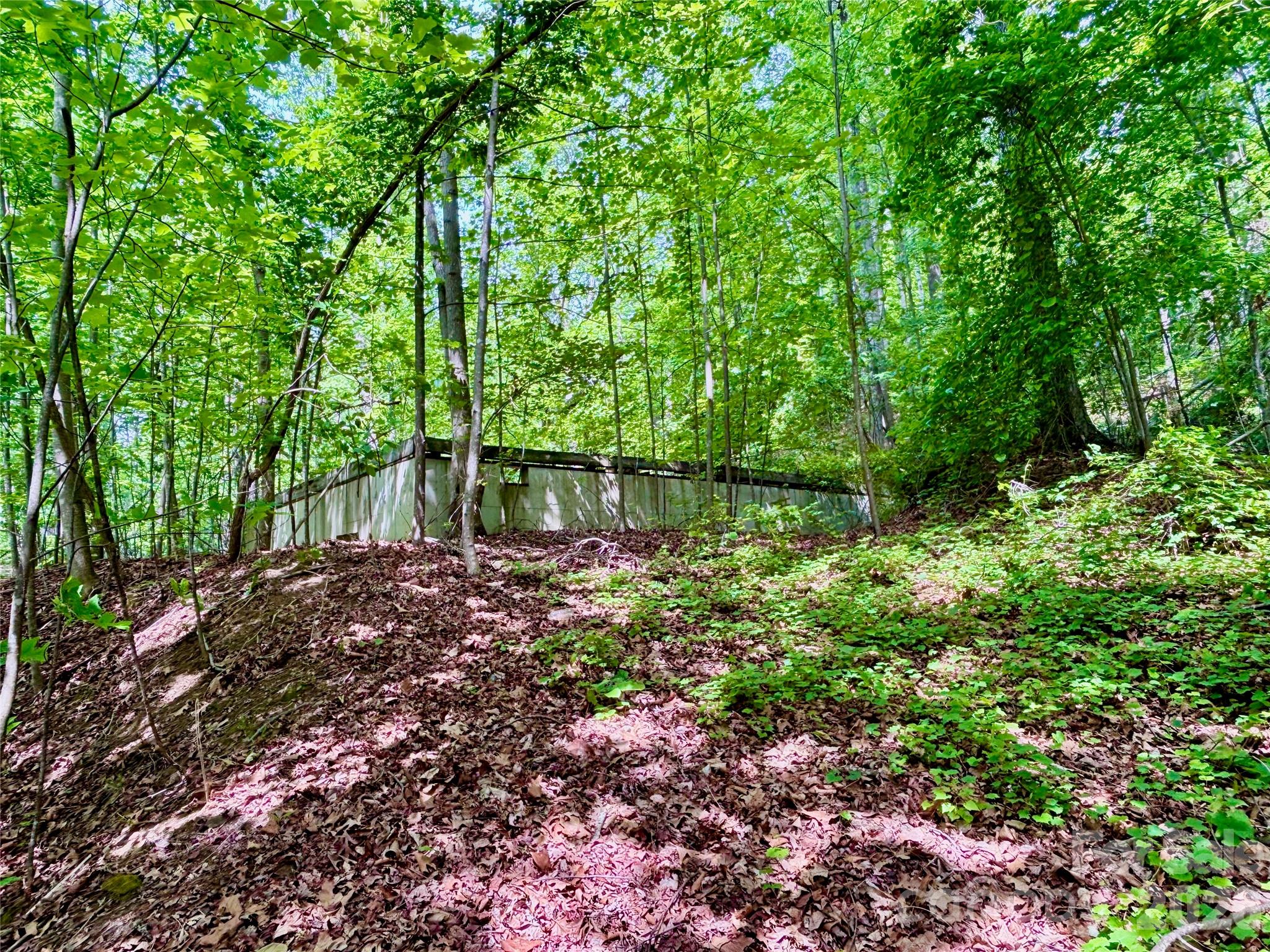 350 Springvalley Drive Rutherfordton NC 28139