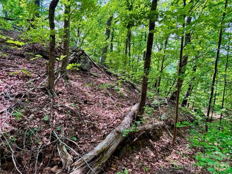 350 Springvalley Drive Rutherfordton NC 28139