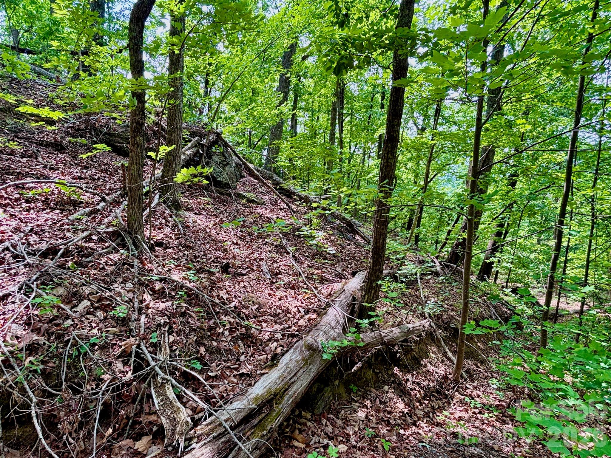 350 Springvalley Drive Rutherfordton NC 28139