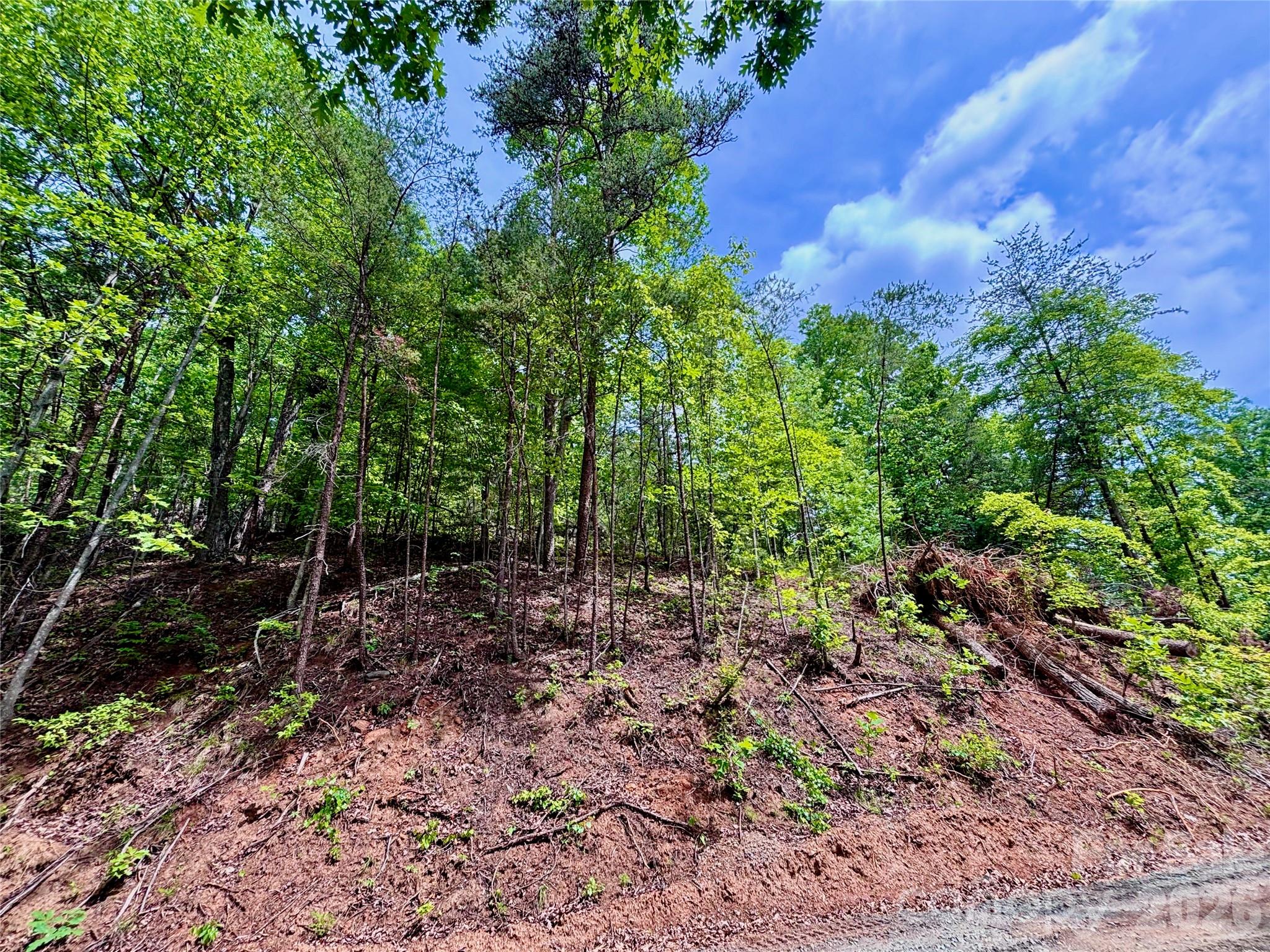 350 Springvalley Drive Rutherfordton NC 28139