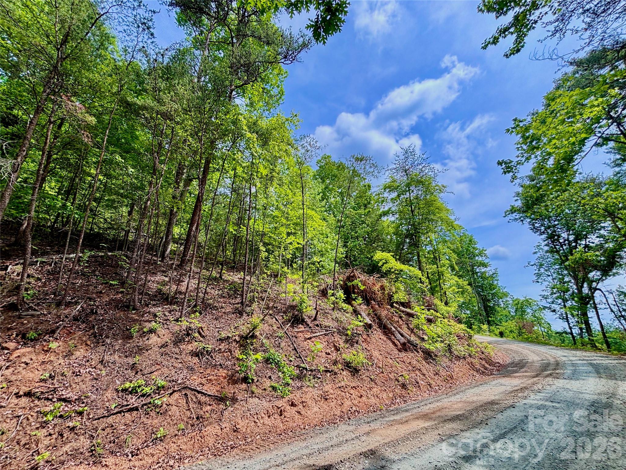 350 Springvalley Drive Rutherfordton NC 28139