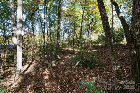 2002 Song Breeze Trail Arden NC 28704