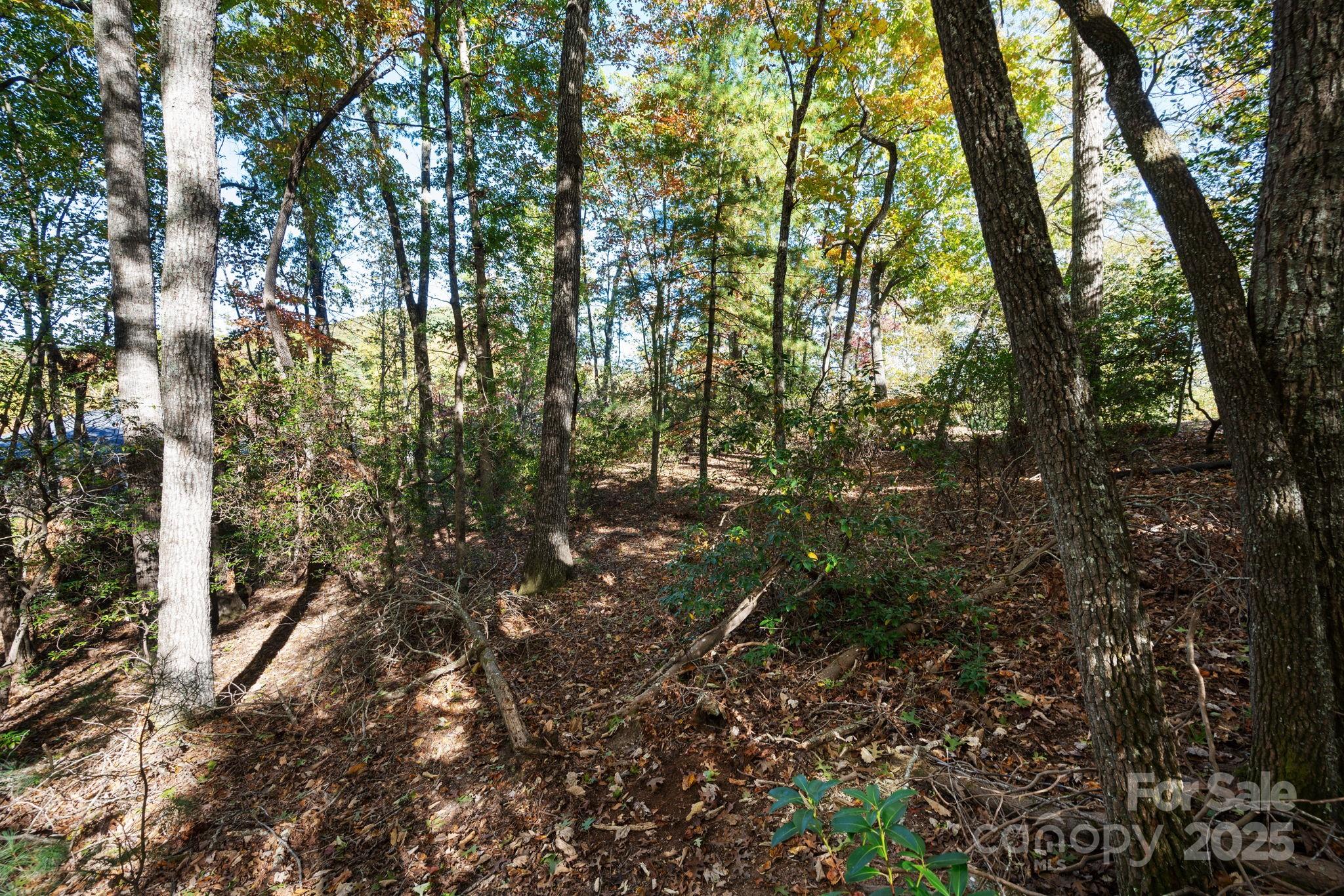 2002 Song Breeze Trail Arden NC 28704