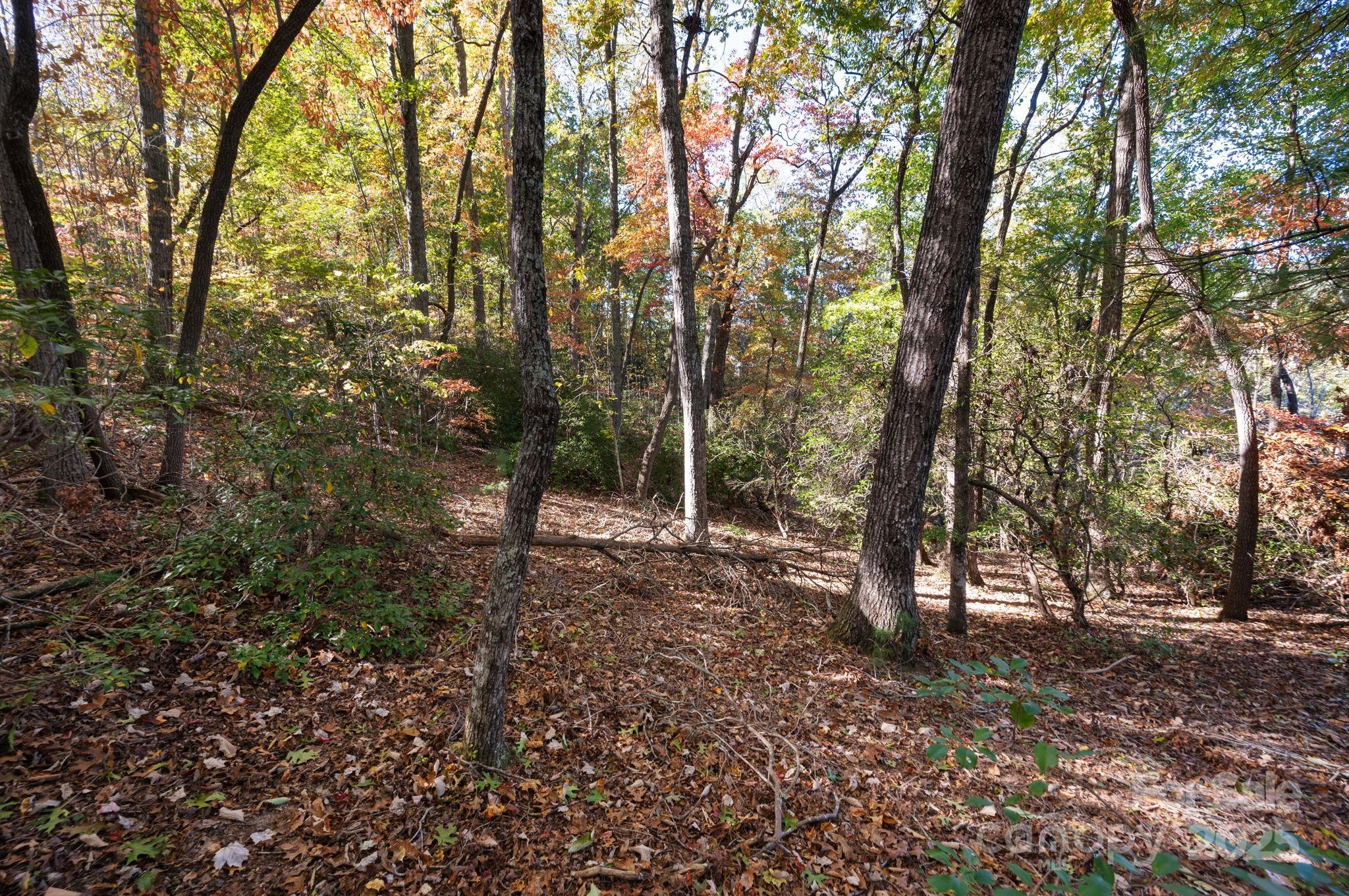 2002 Song Breeze Trail Arden NC 28704