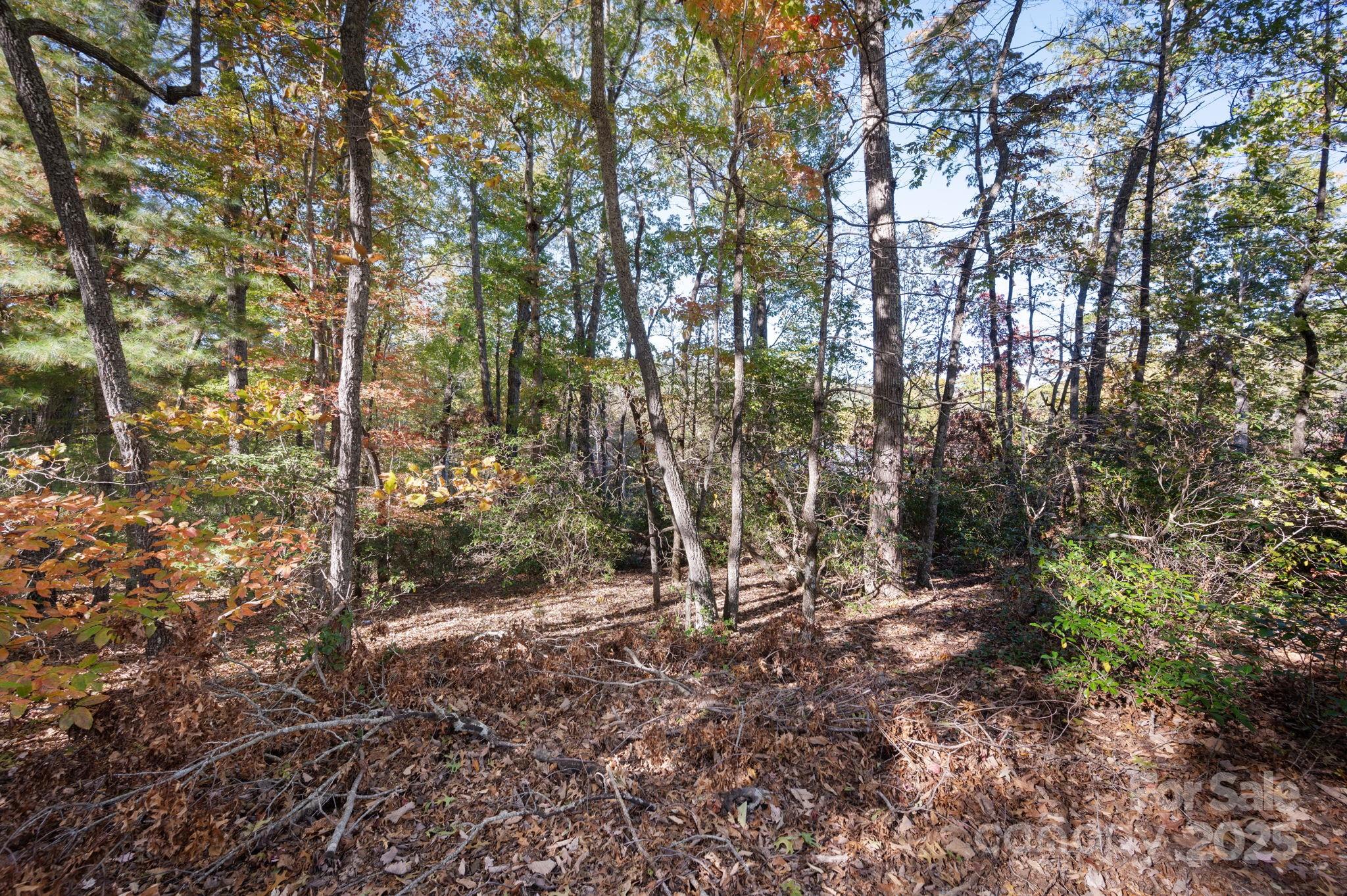 2002 Song Breeze Trail Arden NC 28704