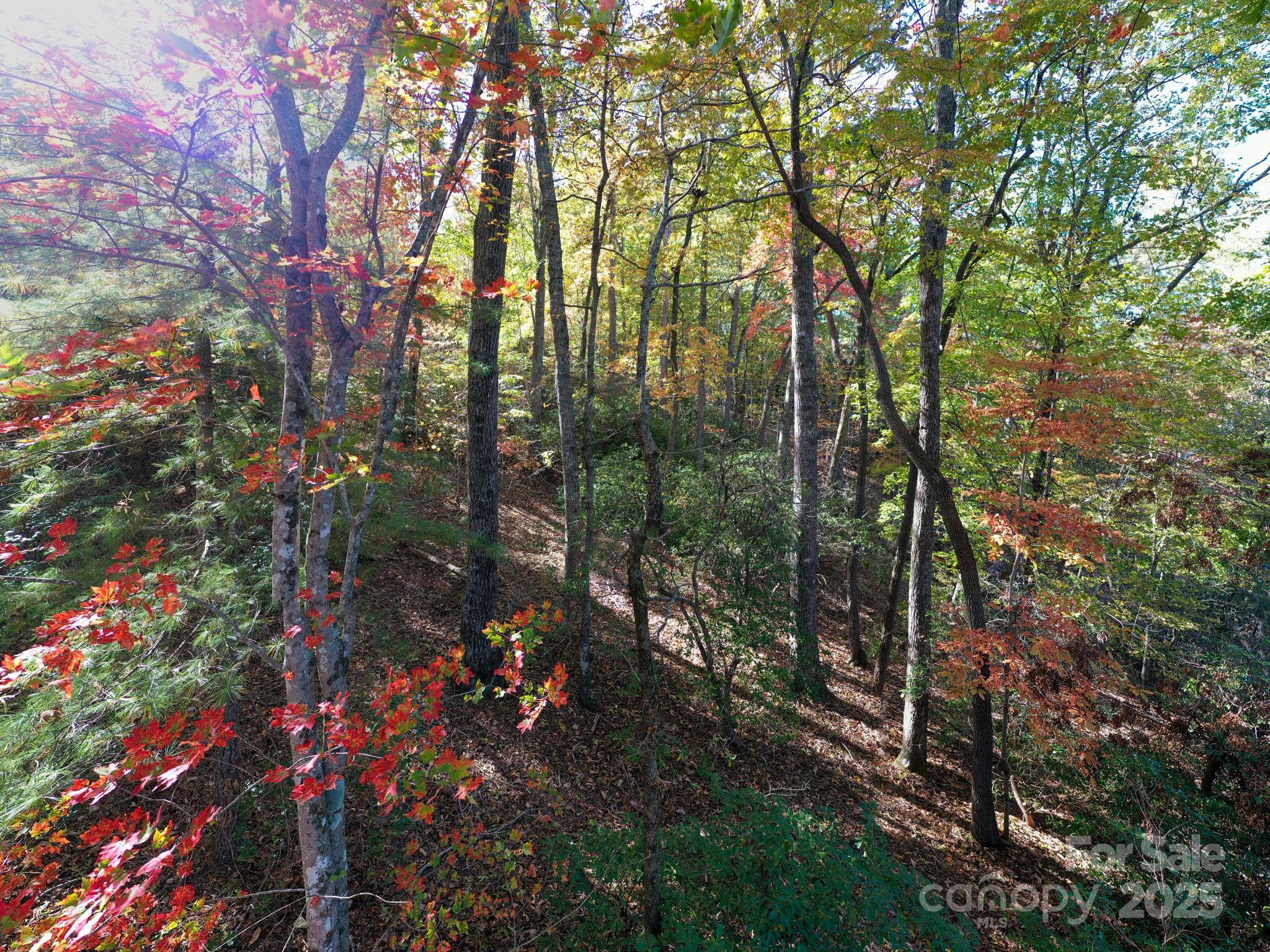 2002 Song Breeze Trail Arden NC 28704