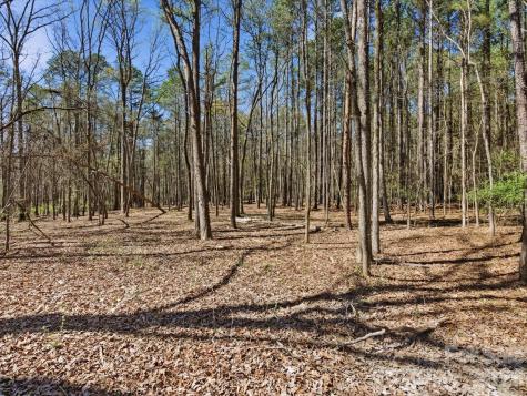 3883 Marlette Drive York SC 29745