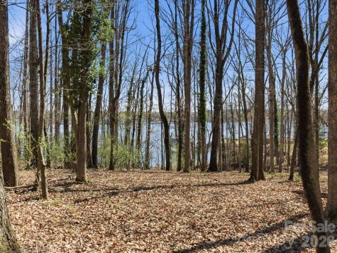3883 Marlette Drive York SC 29745