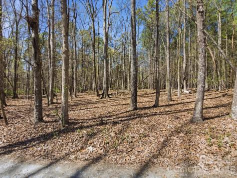 3883 Marlette Drive York SC 29745