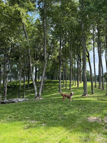 0000 West Garden Trail Hendersonville NC 28792