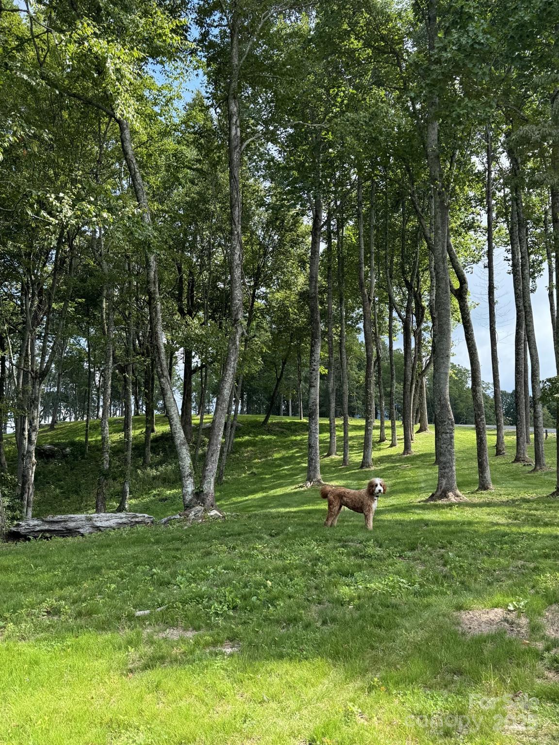 0000 West Garden Trail Hendersonville NC 28792