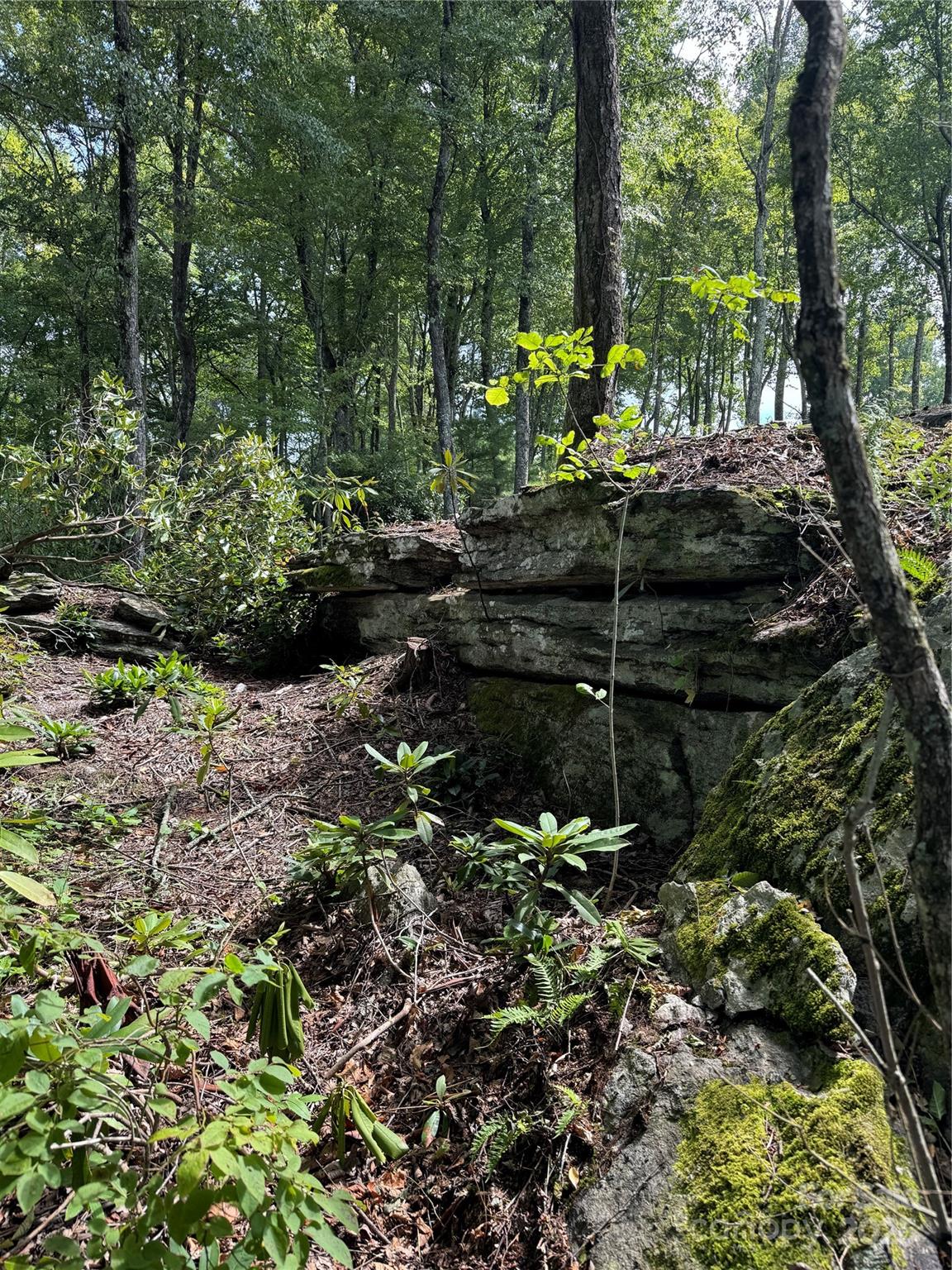 0000 West Garden Trail Hendersonville NC 28792