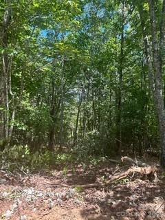 0000 Duck Creek Road Lenoir NC 28645