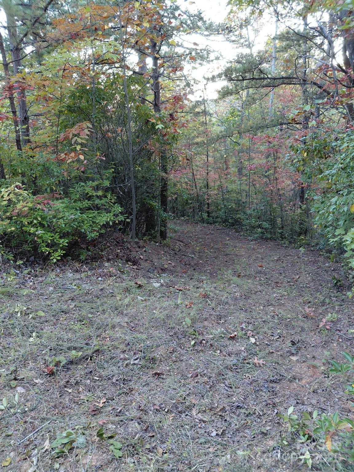 368 Sassafras Drive Old Fort NC 28762