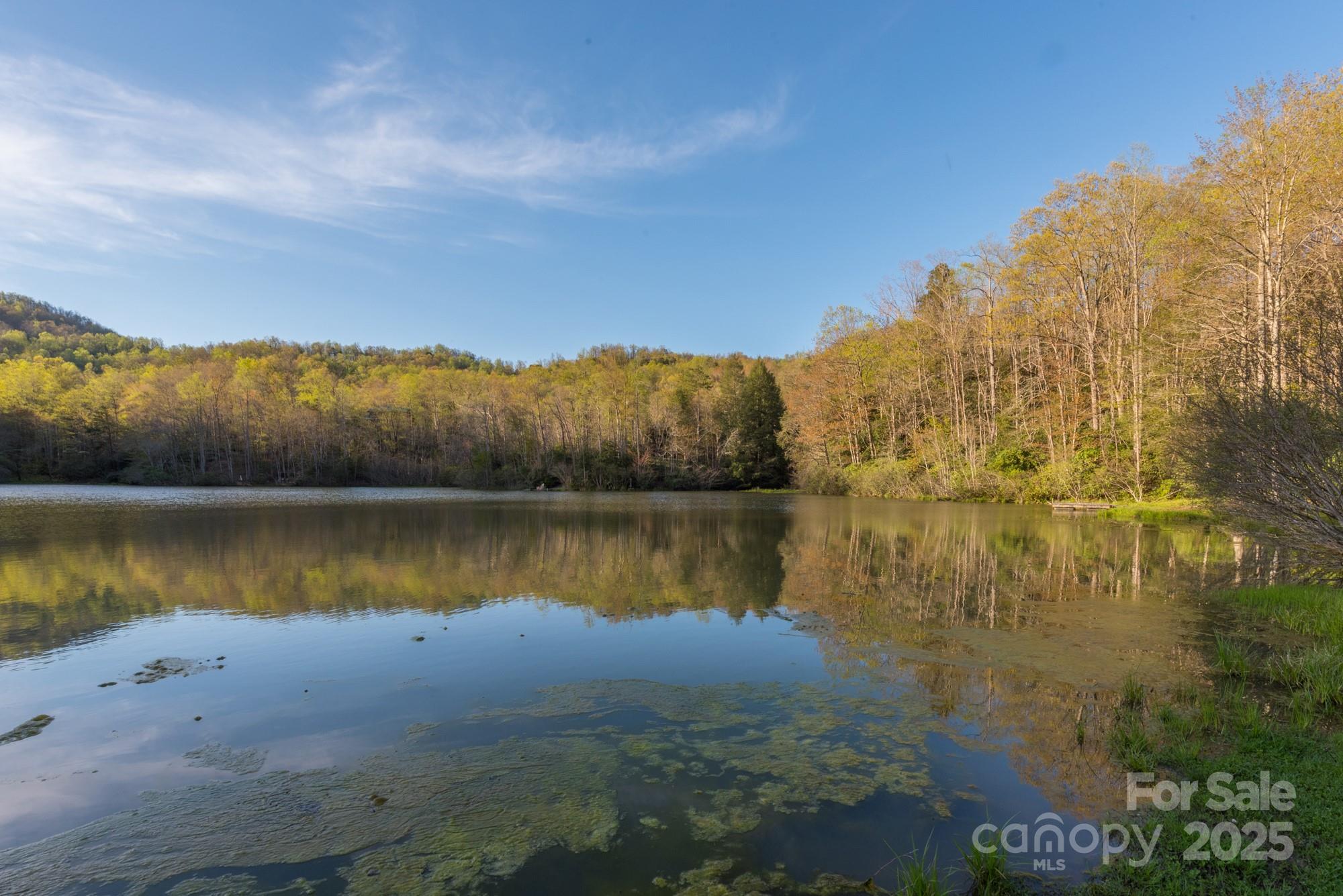 368 Sassafras Drive Old Fort NC 28762