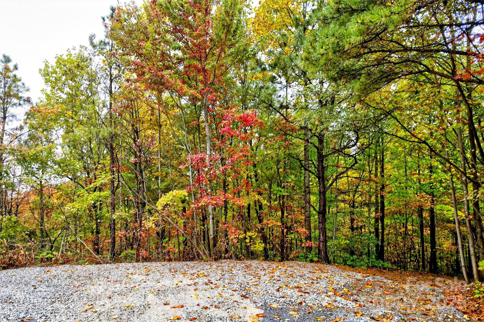 368 Sassafras Drive Old Fort NC 28762