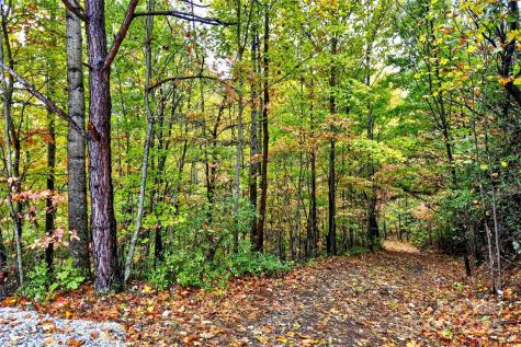 368 Sassafras Drive Old Fort NC 28762