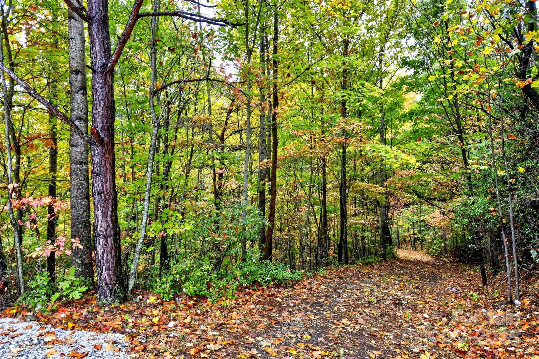 368 Sassafras Drive Old Fort NC 28762