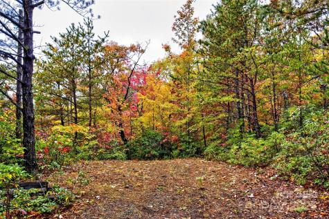 368 Sassafras Drive Old Fort NC 28762