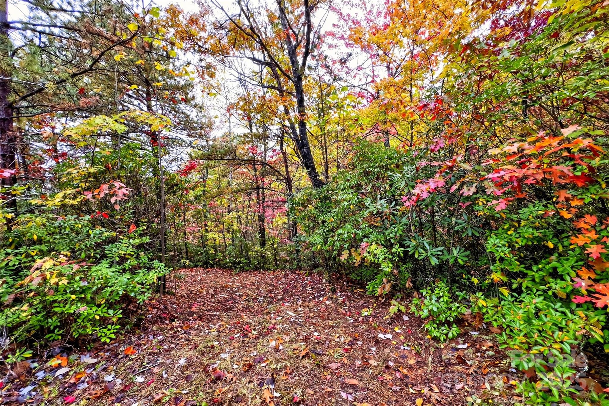 368 Sassafras Drive Old Fort NC 28762