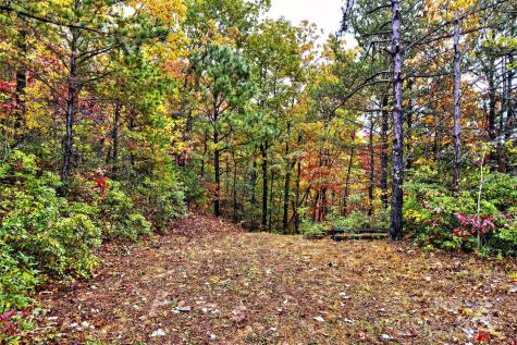 368 Sassafras Drive Old Fort NC 28762