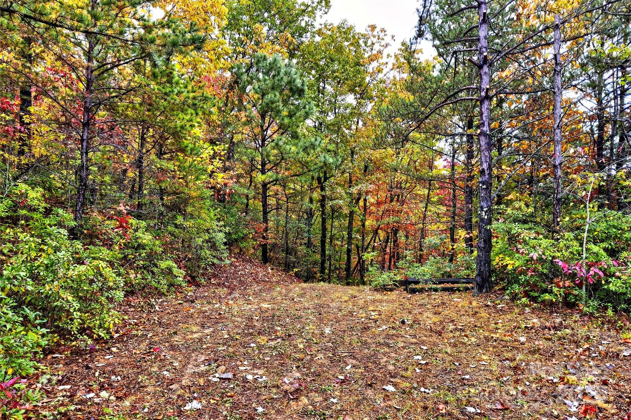 368 Sassafras Drive Old Fort NC 28762