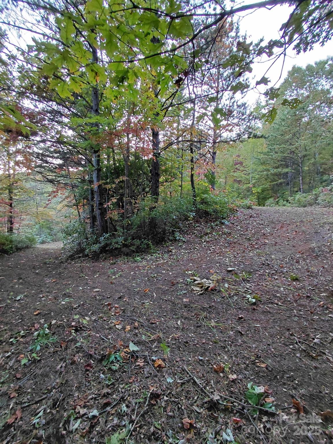 368 Sassafras Drive Old Fort NC 28762