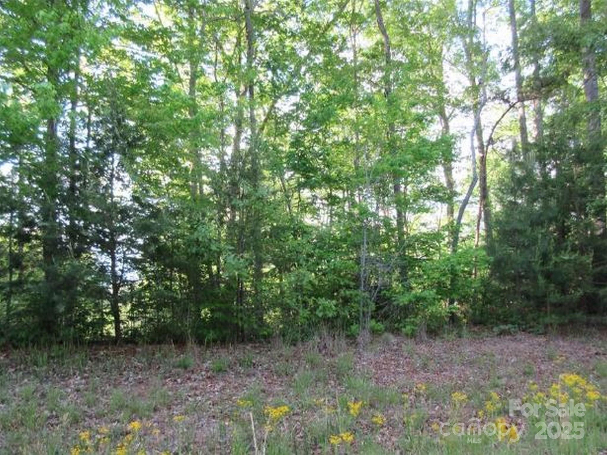 0 S Cross Creek Trail Mill Spring NC 28756