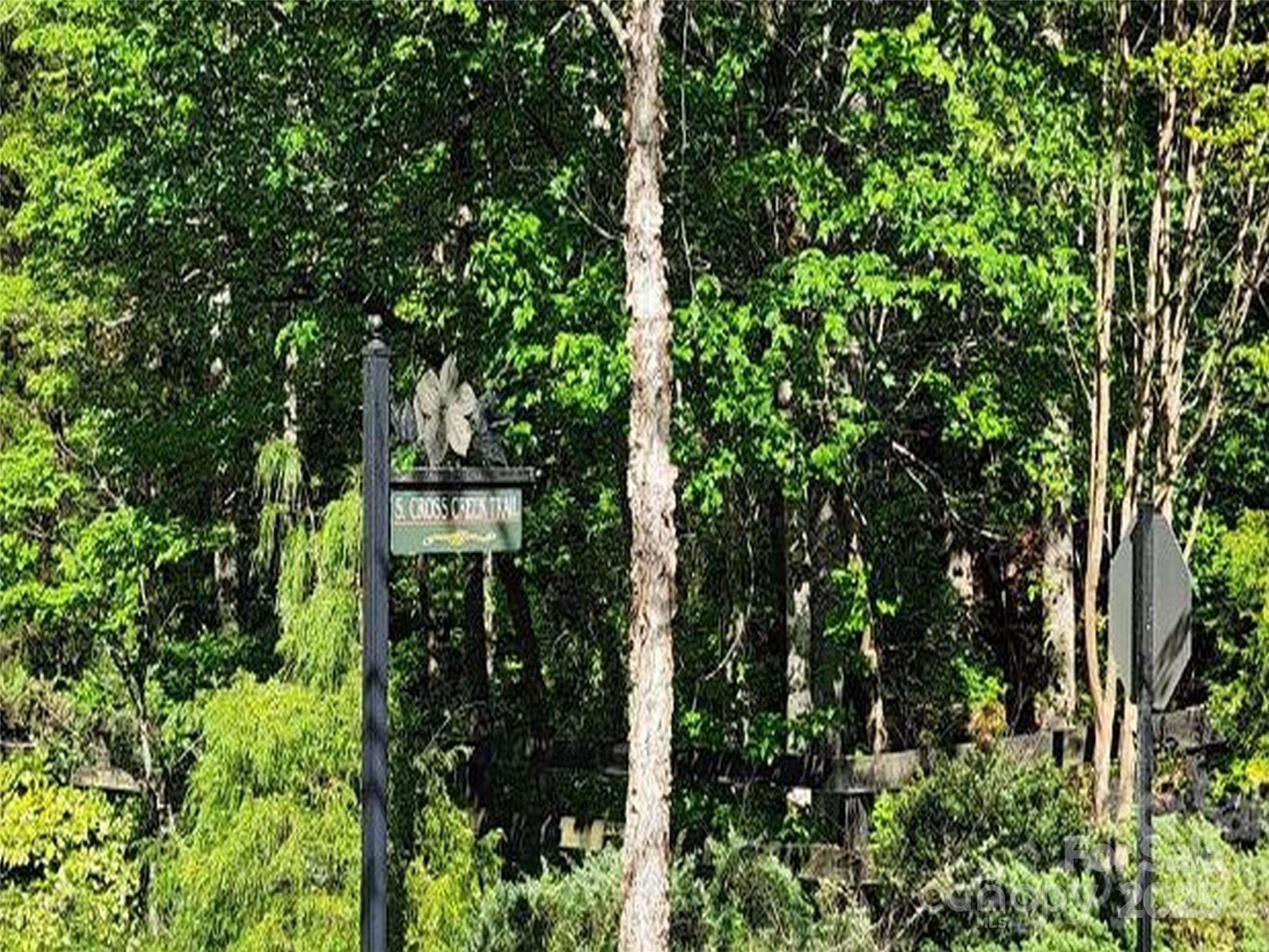 0 S Cross Creek Trail Mill Spring NC 28756