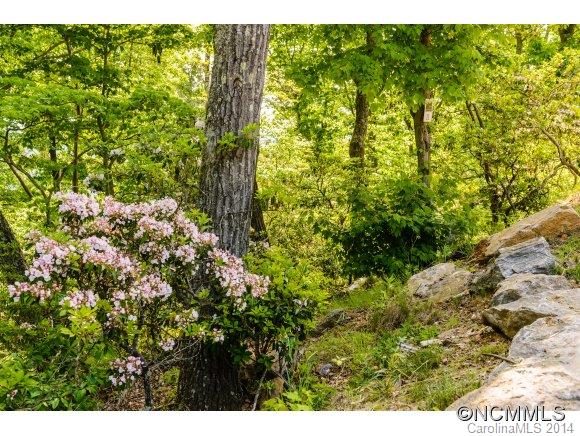 127 Boulder Creek Way Asheville NC 28805